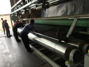 Geomembranes Type and HDPE LDPE Material