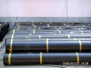 Earthwork Material Compound Geotextile Membrane Best Price