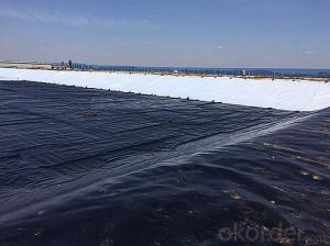 Best Price Low-density Polyethylene Geomembrane for Reserve Water System 1