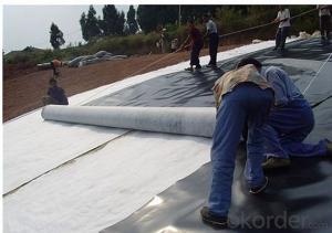 High-Density Polyethylene Geomembrane As Waterproof Facing of Earth and Rockfill Dams System 1