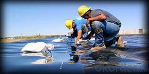 Linear Polyethylene Geomembrane for all Types of Decorative andArchitectural Ponds System 1