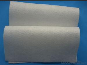 Woven Stabilization Geotextile Protective Fabrics the Industry