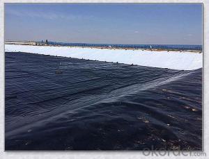 Hdpe Geomembrane Roll Waterproof  for all Kinds of Decorative and Architectural Ponds System 1