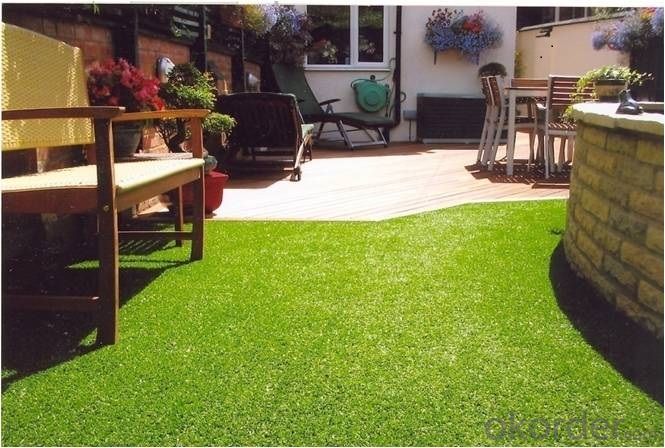 PET GRASS/ARTIFICIAL GRASS OF PET/THE BEST FOR PET System 1