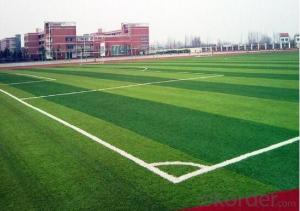 artificial grass of football/ soccor field/ best grass