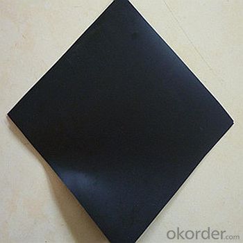 Geomembrana Geotextil:High Quality Geomembrane Supplier for Decorative and Architectural Ponds System 1