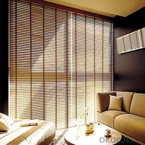 PVC Vertical Roller Window Blinds /Decorative Vertical Blinds