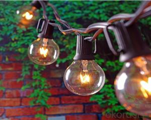 25ct G40 Globe Patio String light UL Listed System 1
