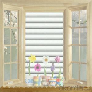Sunscreen Roller Blinds Curtain With Photo Print System 1