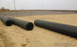 Light Weight Fiberglass Geogrid of Civil Engineering Products System 1