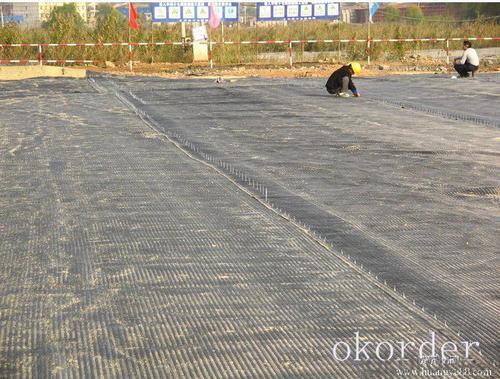 Biaxial Geogrids Suppliers Oklahoma USA - Lightweight Fiberglass Polypropylene High Strength Geogrid Made in China System 1