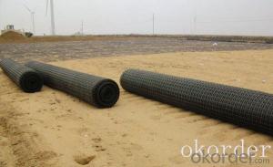 PP Plastic Polypropylene Geogrid Biaxial Geogrid High strength Made in China System 1