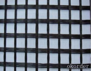 Geogrids with Highest Quality Made in China System 1