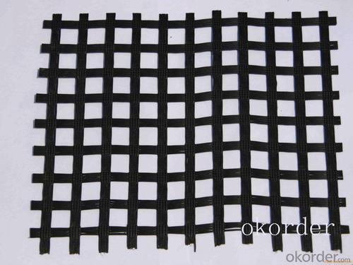 High Strength Fiberglass Geogrid Polyethylene Geotextile for Civil Engineering Construction System 1