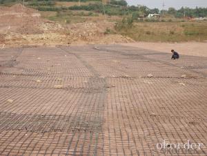 High Strength Fiberglass Geogrid in Civil Engineering Construction Made in China System 1