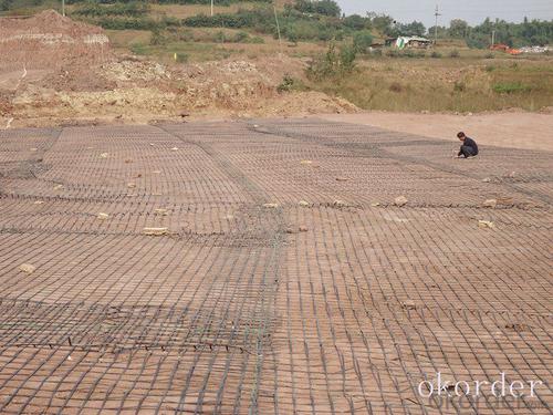 Hanes High Strength Fiberglass Geogrids for Civil Engineering Construction - Made in China System 1