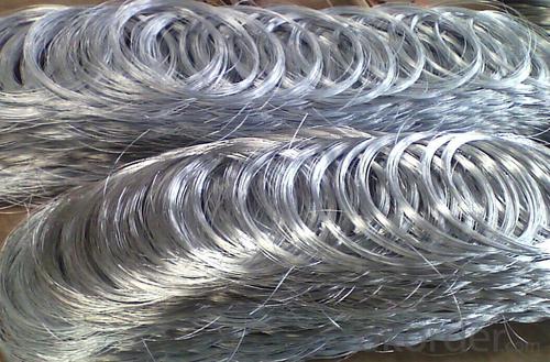 Hot DIP Galvanized Steel Wire for Garden System 1