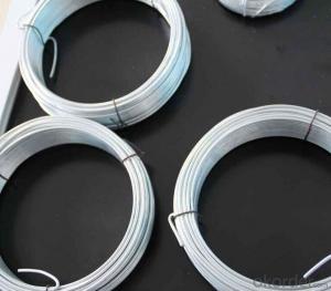 Hot DIP Galvanized Steel Wire for Garden