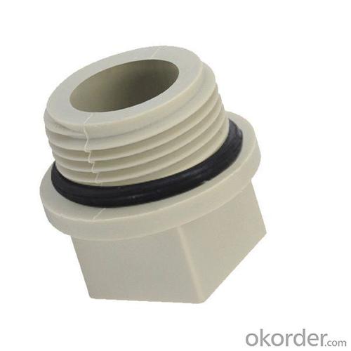 Metric Plastic Pipe Fittings - Polypropylene Random Pipe Plug with Top Quality System 1