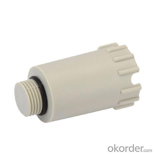 Polypropylene Random Plastic Long Pipe Plug for Plastic Pipes Fittings System 1