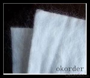 PET Spunbond Non Woven Geotextiles with Best Quality System 1