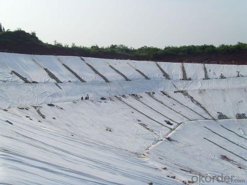 Geotextile China PP Non-Woven Geotextile Products with Good Quality System 1