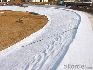 PET Non-woven Geotextile of Earthwork Products