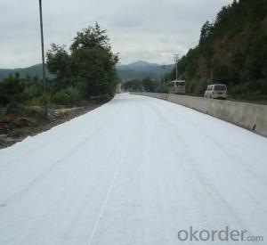 Polyester Geotextile Fabric used in Road Construction in China System 1