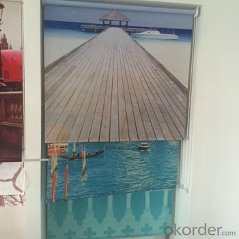Sheer shade design in window blinds curtain as zebra blinds System 1