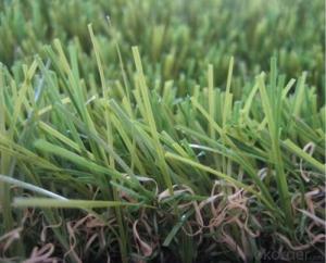 Economical Artificial Grass Turf Artificial Grass for Kindgarden