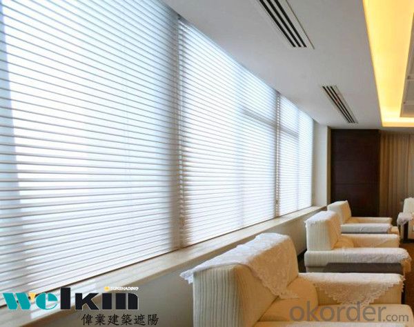 Window Blind, Roller Blind Curtain from China Factory System 1