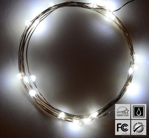 Cold White Copper Wire Outdoor Led String Christmas Lights with Remote Control and Power Supply System 1