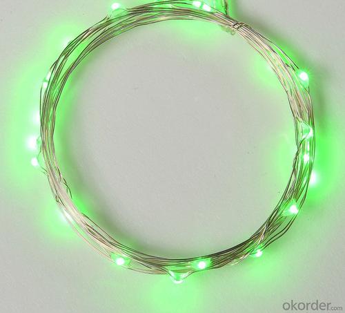 Green Copper Wire Outdoor Led String Christmas Lights with Remote Control and Power Supply System 1