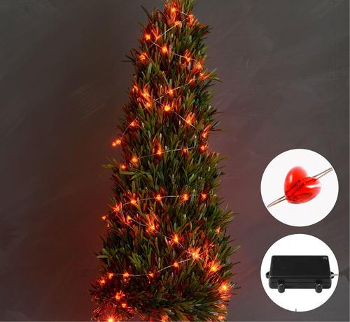 Red Copper Wire Outdoor Led String Christmas Lights with Remote Control and Power Supply System 1