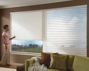 daylight roller blinds/roller blind /office curtains and blinds