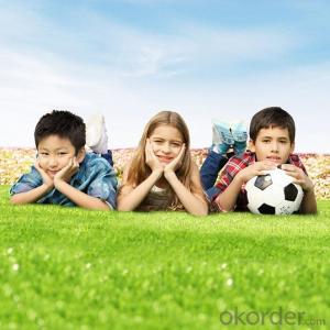 Artificial Grass Multifuctional Grass Recycled Professional Turf System 1