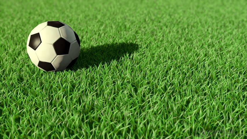 Artificial grass for 2024 soccer field price