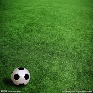 Artificial Grass China Manufacture Wholesale Price Football/Soccer System 1