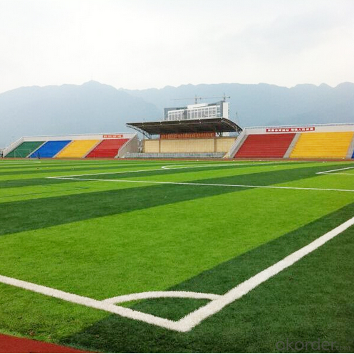 Artificial Sport Grass Environmental Hot & Best Sell in China System 1