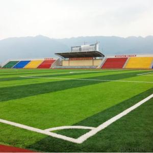 Artificial Sport Grass Environmental Hot & Best Sell in China