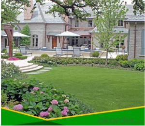 Artificial Grass, Home Friendly Grass, Hot Sale & Best Sell in China System 1