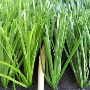 Artificial Grass  for Pet  Environmental Hot & Best Sell in China