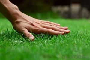 Multi-Functional Natural Garden Carpet Grass Landscapin Grass