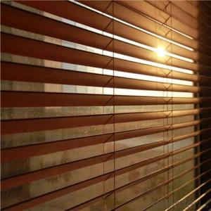 Thiccontinuous curtain fabrickened Korean Soft Gauze Shutter Curtain Double Blackout Blinds