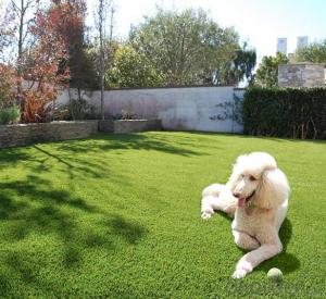 Artificial football grass beautiful and low price