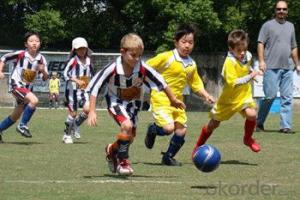 CE Certificate Artificial Grass for Soccer