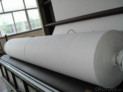 500g Nonwoven Geotextile Fabric Cara Pemasangan - China Company System 1