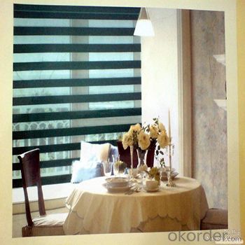 Roller Blind Curtain/pvc roller blind/roller blinds and curtains System 1