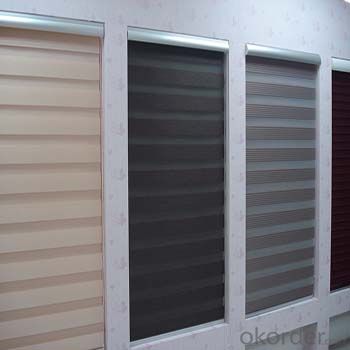 Blackout Vintage Style Blinds Roller Door Curtains Zebra Blind System 1