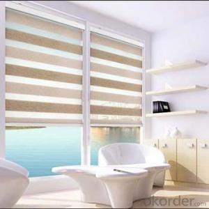 window blinds/blinds for window curtain blinds/zebra blinds System 1